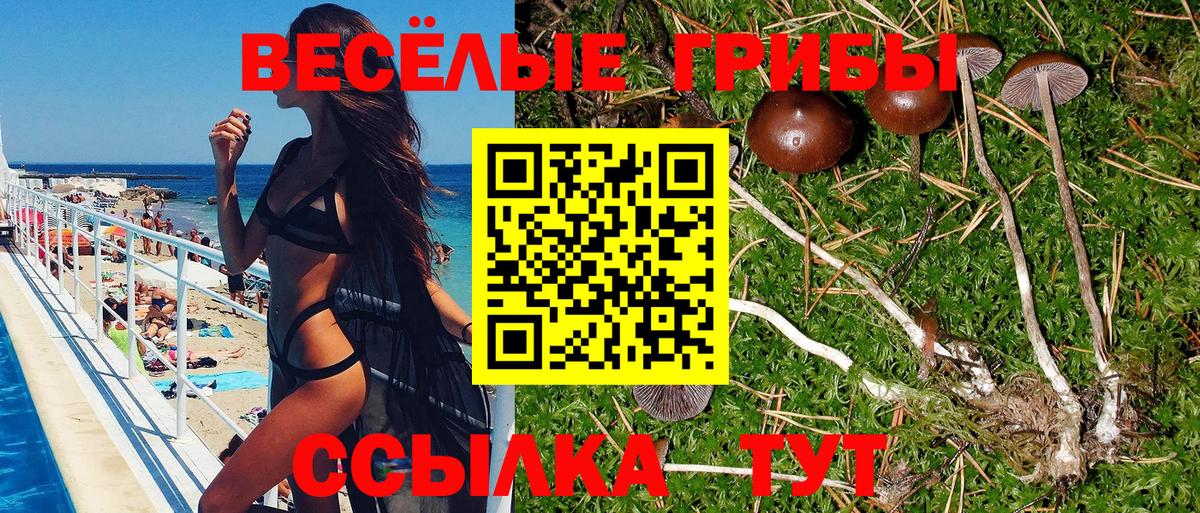 Псилоцибиновые грибы ЛСД  Вход с VPN  Орёл 